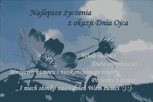 Kwiaty i życzenia na Dzień Ojca